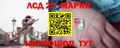 ПСИЛОЦИБИНОВЫЕ ГРИБЫ Кандалакша
