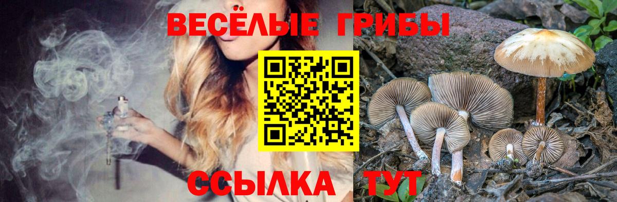 Кумертау  Псилоцибиновые грибы Psilocybine cubensis  Вход с VPN  Псилоцибиновые грибы Psilocybe 